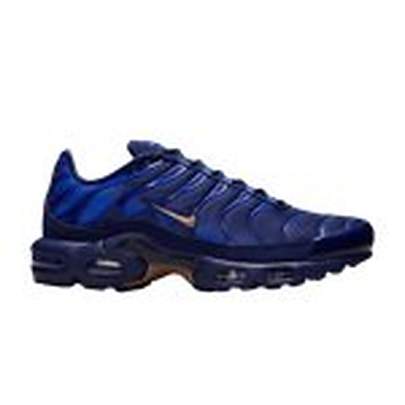 Nike Air Max Plus French Football Federation